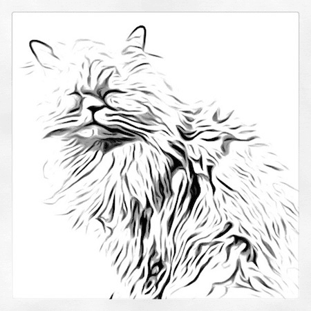 Retrato ilustrado da Clara